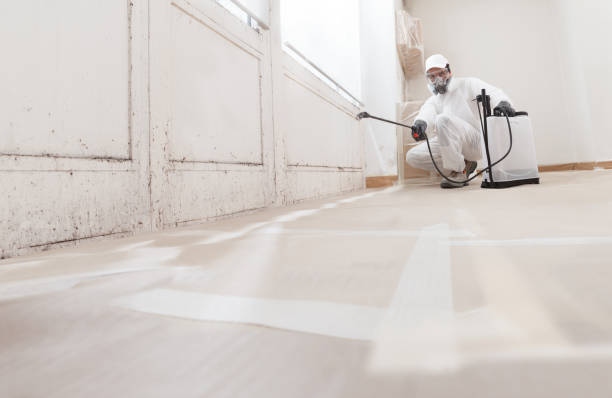 24/7 Emergency Commercial Mold Remediation experts in Princeton Junction, NJ