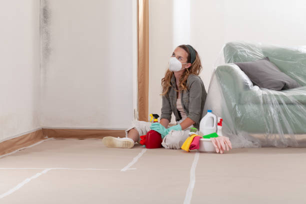 Reliable Commercial Mold Remediation contractor in Princeton Junction, NJ by WQB Mold Removal